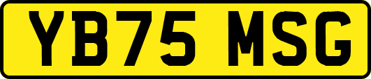 YB75MSG