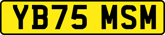 YB75MSM