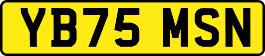 YB75MSN
