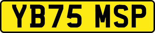 YB75MSP