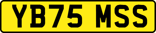 YB75MSS