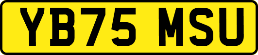 YB75MSU