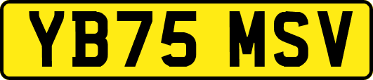 YB75MSV