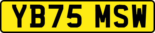 YB75MSW