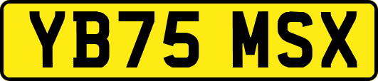 YB75MSX