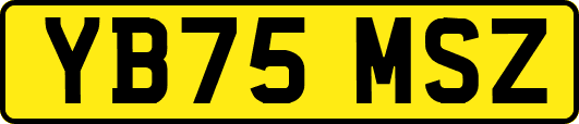 YB75MSZ