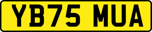YB75MUA