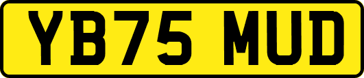 YB75MUD