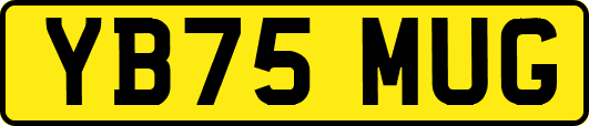 YB75MUG