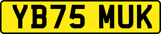 YB75MUK