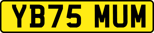 YB75MUM
