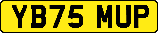YB75MUP