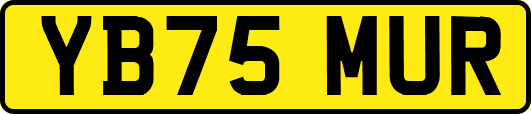 YB75MUR