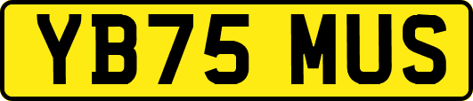 YB75MUS