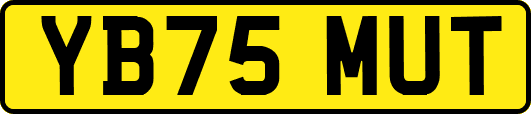 YB75MUT