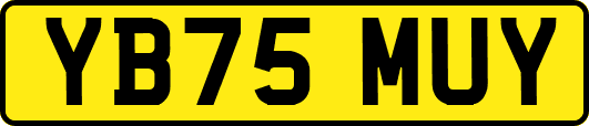 YB75MUY