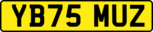 YB75MUZ