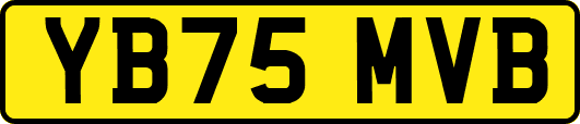 YB75MVB