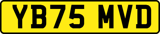 YB75MVD
