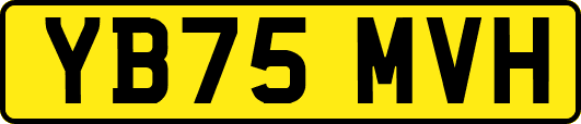 YB75MVH