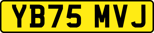 YB75MVJ