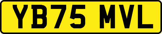 YB75MVL