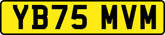 YB75MVM