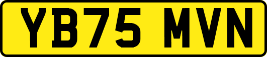 YB75MVN
