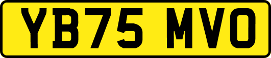 YB75MVO