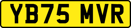 YB75MVR
