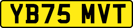 YB75MVT