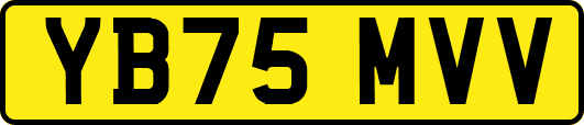 YB75MVV