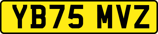 YB75MVZ