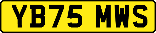 YB75MWS