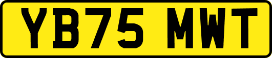 YB75MWT