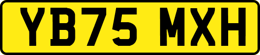 YB75MXH