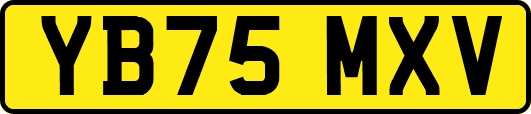 YB75MXV