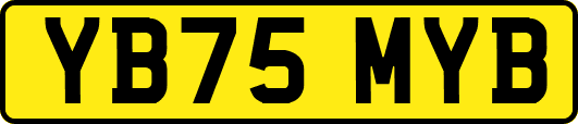 YB75MYB