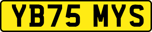 YB75MYS