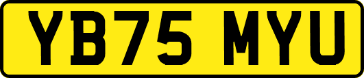 YB75MYU