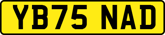YB75NAD
