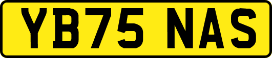 YB75NAS