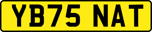 YB75NAT