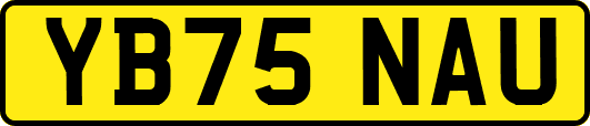YB75NAU