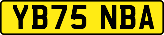 YB75NBA