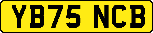 YB75NCB