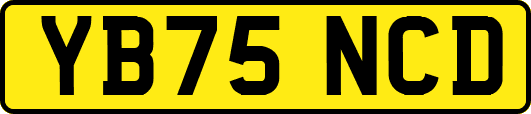 YB75NCD