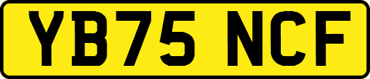 YB75NCF