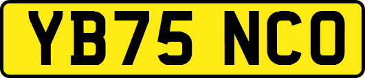 YB75NCO