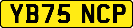 YB75NCP